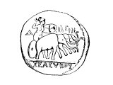 Coins of Seleucus I 312-280 BC